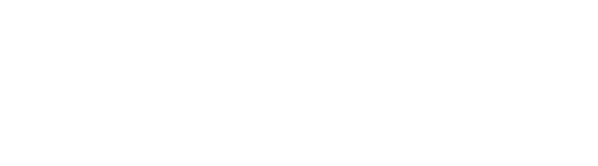 Group 29